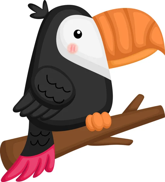 Vetor Pássaro Tucano Bonito — Vetor de Stock