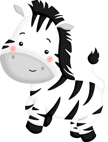 Vektor För Söt Zebra — Stock vektor