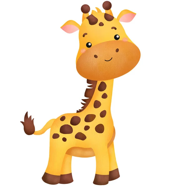 Vektor För Söt Giraff Akvarell — Stockfoto
