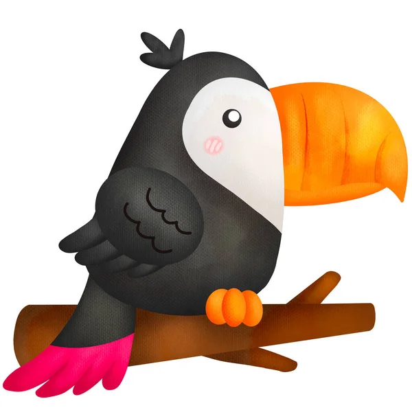 Vektor För Söt Toucan Fågel Akvarell — Stockfoto