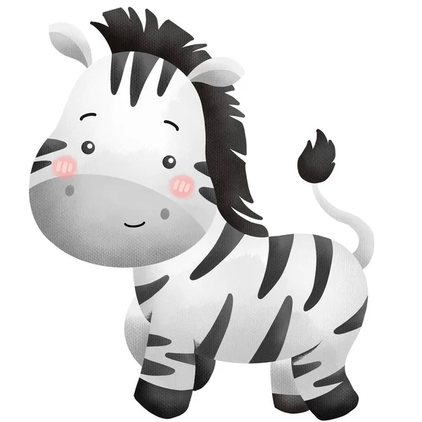 Vetor Uma Zebra Bonito Aquarela — Fotografia de Stock