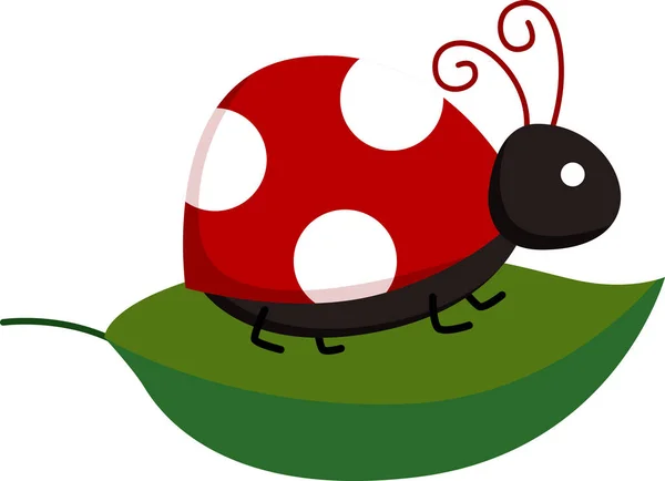 Вектор Ladybug Вершине Листа — стоковый вектор
