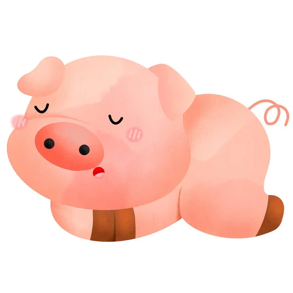 Watercolor Illustration Pig — Stock Photo, Image