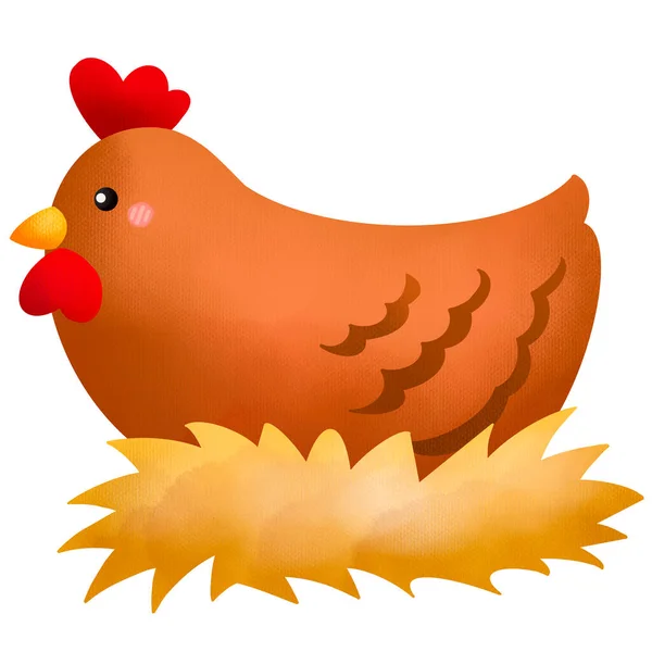 鸡的水彩画 — 图库照片
