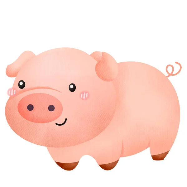 豚の水彩画です — ストック写真