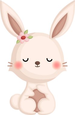 bir tavşan vektörü