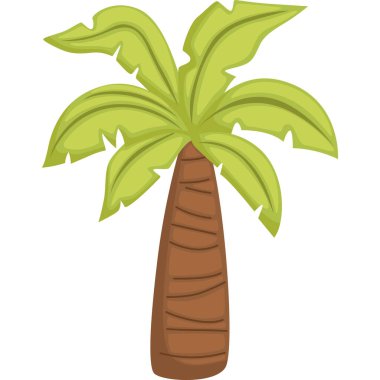 Hindistan cevizi olmayan bir hindistan cevizi ağacının vektörü