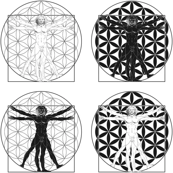 Conception Vectorielle Vitruvian Man Par Leonardo Vinci Avec Fond Fleur — Image vectorielle
