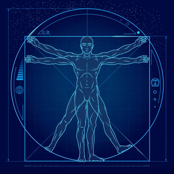 人間の体の理想的な割合の研究 サイエンスフィクションの背景と人間のプロポーションのキヤノン — ストックベクタ