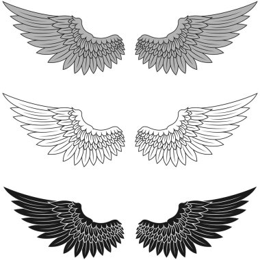 Vector design of angel wings, bird wings for decoration