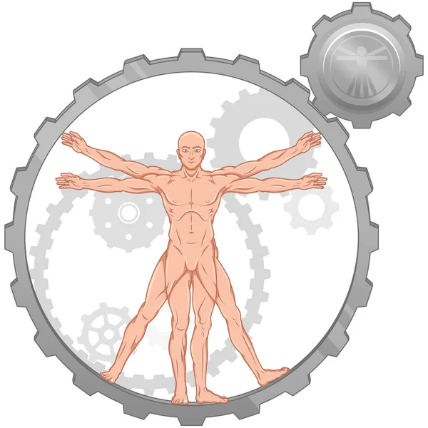 Vitruvius Adamın Tasviri Insan Vücudunun Anatomisi Metal Dişlilerle Insan Orantılarının — Stok Vektör
