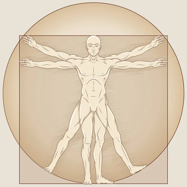 Çizgi Film Stili Vitruvius Adamın Vektör Tasarımı Insan Vücudunun Ideal — Stok Vektör