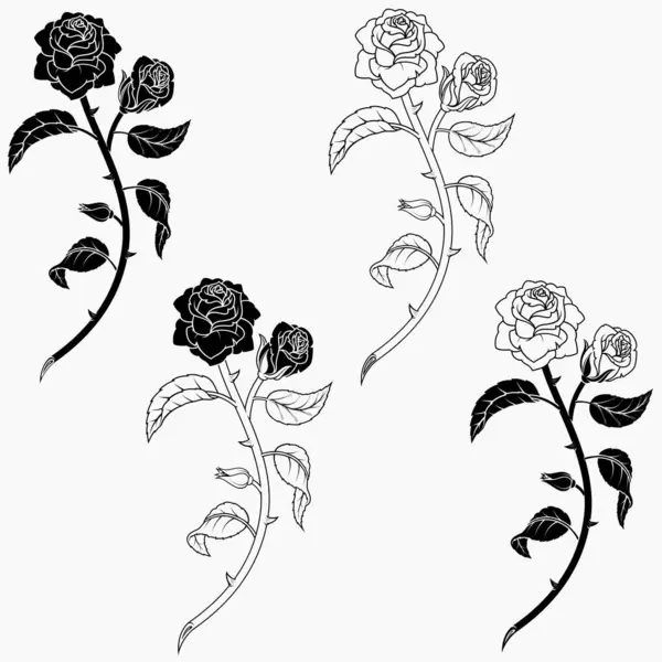 Yaprakları, yaprakları ve dikenleri olan bir buket gülün vektör tasarımı, aşıklar için hediye, süsleme için bitki