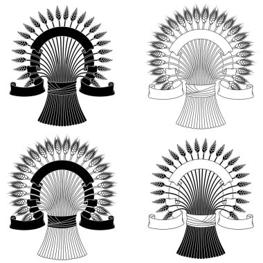 Etrafı parşömenle çevrili buğday başakları, organik bir çiftlikten bir yaprak mısır gevreği, un üretmek için tarla ürünü.