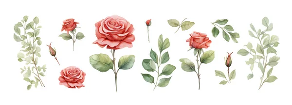 Σετ Από Κλαδιά Λουλουδιών Ροζ Τριαντάφυλλο Πράσινα Φύλλα Έννοια Γάμου — Διανυσματικό Αρχείο