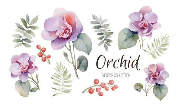 Orkidé Blommor Akvarell Isolerad Vit Bakgrund Vackra Blommor Dekorativa Vektor — Stock vektor