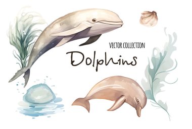 Şirin bir suluboya hayvan ve bitki örtüsü seti deniz vektörü çizimi altında. Karikatür okyanus sahneleri akvaryum ya da deniz suyu koleksiyonu için izole edilmiştir.