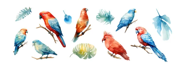 Tropikalny Zestaw Egzotycznych Papug Ptaków Kwiatami Kolorowe Białym Tle Wektor — Wektor stockowy