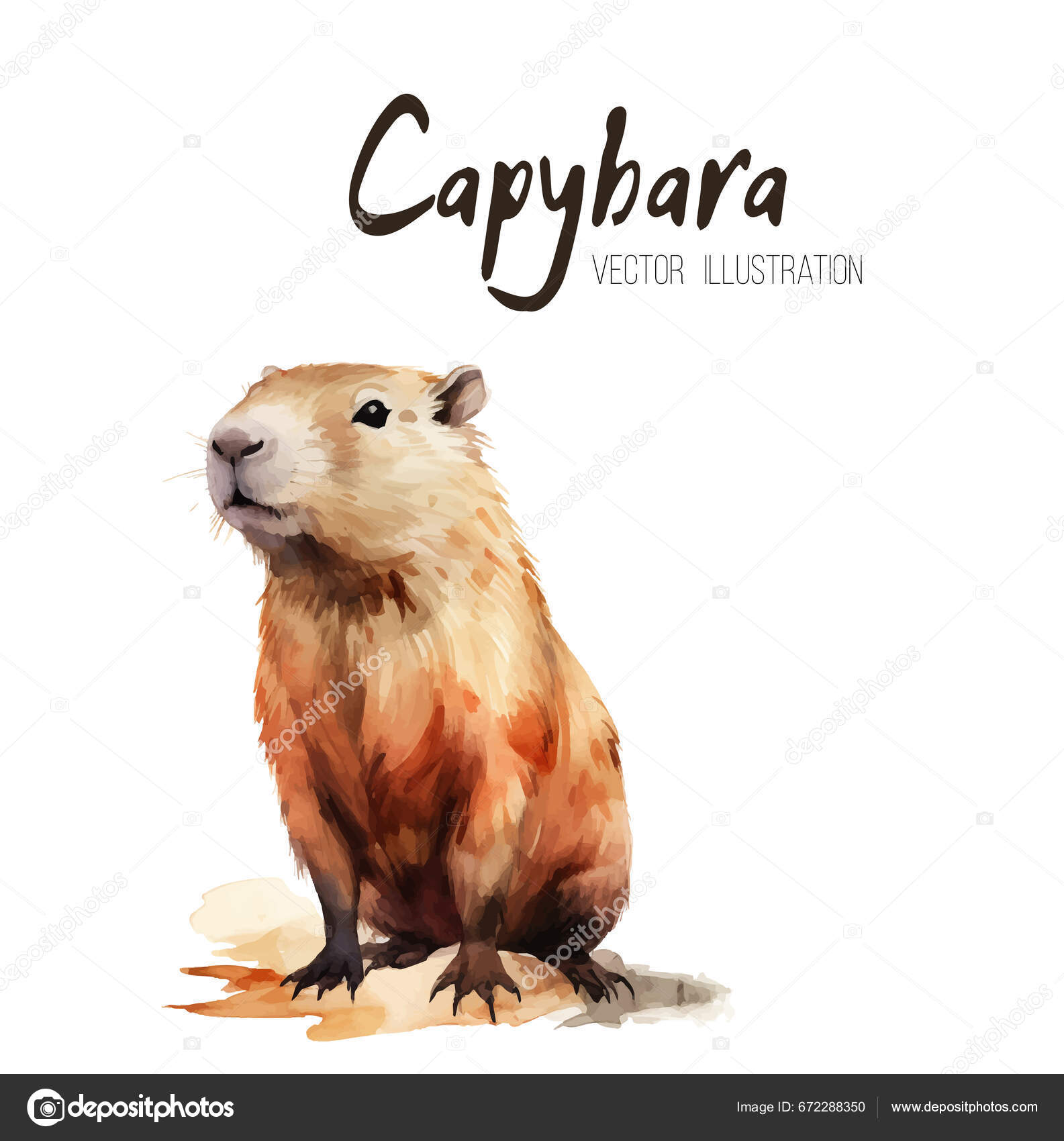 Baixar Vetor De Conjunto De Adesivos De Capivara Em Aquarela