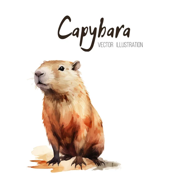 Ένα Χαριτωμένο Σύνολο Capybaras Στυλ Ακουαρέλα Ένα Λευκό Απομονωμένο Φόντο — Διανυσματικό Αρχείο