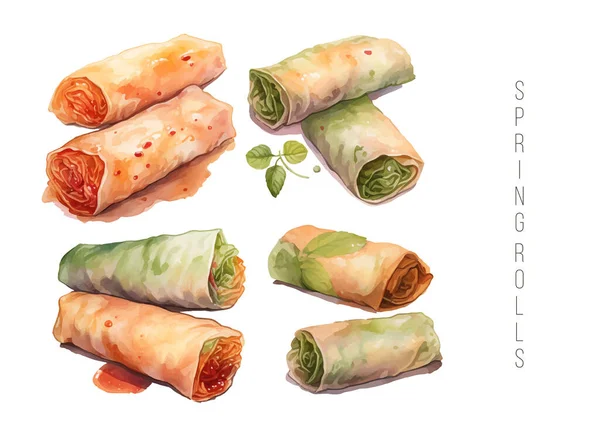 Rollo Primavera Con Camarones Hierbas Verduras Aguacate Cliparts Ilustración Vectorial — Vector de stock