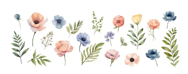 Συλλογή Διανυσματικών Άγριων Λουλουδιών Βότανα Ποώδη Ανθοφόρα Φυτά Ανθισμένα Λουλούδια — Διανυσματικό Αρχείο