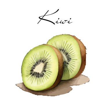 Kivili vektör soyut illüstrasyon. Kartpostal, menü, pankart, poster, reklam ve diğer şeyler için izole bir set.