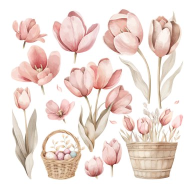 Vector illustration of spring set of tulips, delicate pastel shades, Easter set of flowers, Easter eggs watercolor style. icons isolated on white background. clipart