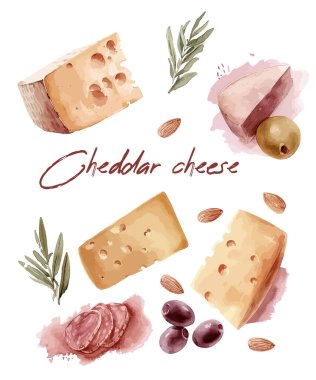 Beyaz arka planda izole edilmiş peynirli suluboya el resmi. Vektör illüstrasyonu