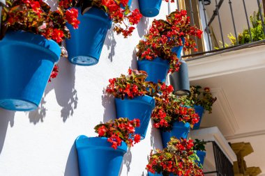 MARBELLA, İspanya - 11 Eylül 2022: 11 Eylül 2022 'de İspanya' nın Marbella kentindeki beyaz caddelerde çiçek açması