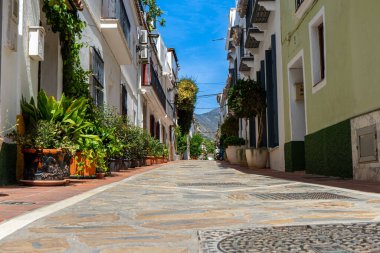 MARBELLA, İspanya - 11 Eylül 2022: 11 Eylül 2022 'de İspanya' nın Marbella kentindeki beyaz caddelerde çiçek açması