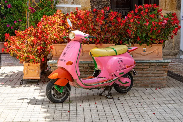 Marbella Španělsko Září 2022 Růžová Motorka Obklopující Květy Květů Marbelle — Stock fotografie
