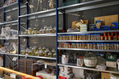 Granada, İspanya - 25 Eylül 2022: Granada, İspanya 'daki Bilim Parkı Müzesi 25 Eylül 2022