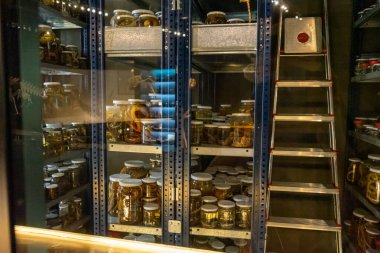 Granada, İspanya - 25 Eylül 2022: Granada, İspanya 'daki Bilim Parkı Müzesi 25 Eylül 2022