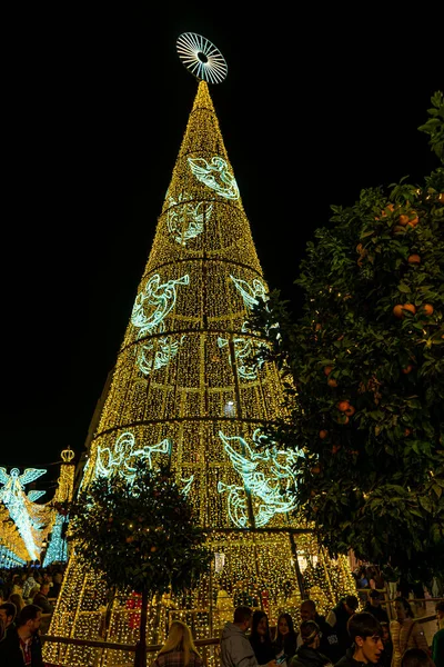 Malaga Espanha Dezembro 2022 Árvore Natal Praça Constituição Málaga Espanha — Fotografia de Stock