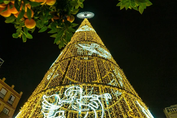 Malaga Spain December 2022 Christmas Tree Constitution Square Malaga Spain — Stock Photo, Image