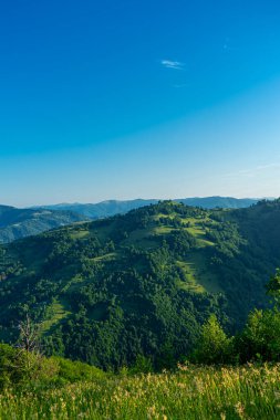 Karpatlar 'ın dağları gündoğumunda yeşil çayır manzaraları, Apetska dağları.