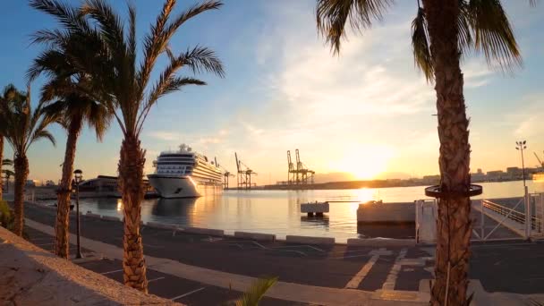Malaga Spain January 2023 Cruise Ship Viking Venus Port Malaga — Wideo stockowe
