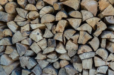 Odun yığınları. Kış için yakacak odun hazırlığı.