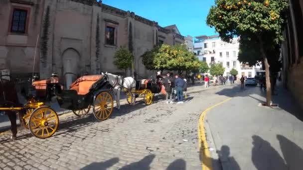 Sevilla Spain December 2022 Horse Drawn Carriage Cathedral Saint Mary — Wideo stockowe