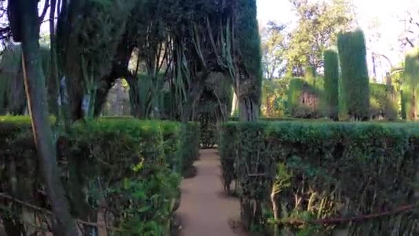 Sevilla Ισπανια Δεκεμβριου 2022 Κήποι Των Βασιλικών Αλτσάρων Της Σεβίλλης — Αρχείο Βίντεο