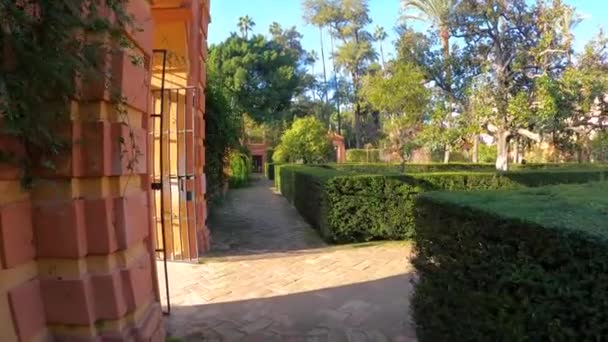 Sevilla Ισπανια Δεκεμβριου 2022 Κήποι Των Βασιλικών Αλτσάρων Της Σεβίλλης — Αρχείο Βίντεο
