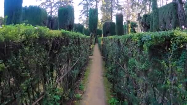 Sevilla Spanien Dezember 2022 Die Gärten Des Königlichen Alzars Von — Stockvideo