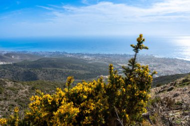 İspanya 'daki Costa del Sol' da Malaga yakınlarındaki Calamorro Dağı 'ndan panoramik manzara