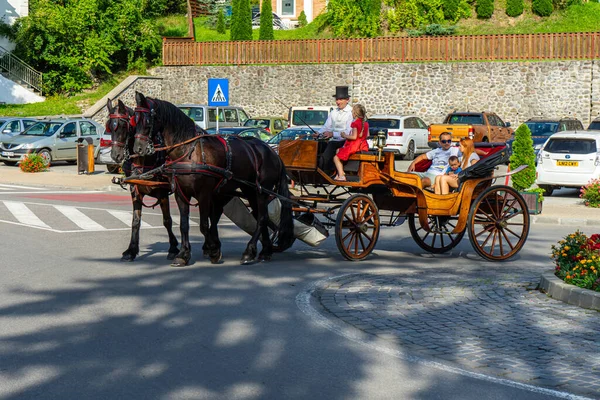 Sovata ルーマニア 2022年8月24日 Sovataリゾートで馬が馬車を描いた これは 気腫および泥の治療で知られています 2022年8月24日ルーマニアのソヴァタ — ストック写真