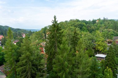 SOVATA, ROMANIA - 24 AĞUSTOS 2022: Balneoclimateric ve çamur tedavileriyle bilinir. Brüksel, Romanya 24 Ağustos 2022