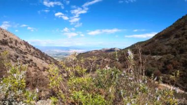 Mijas, Malaga, İspanya tepelerine giden yolda yanan orman.