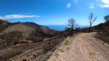 Mijas, Malaga, İspanya tepelerine giden yolda yanan orman.