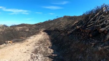 Mijas, Malaga, İspanya tepelerine giden yolda yanan orman.