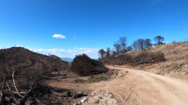 Mijas, Malaga, İspanya tepelerine giden yolda yanan orman.